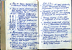 MISHIN DIARIES, 1965